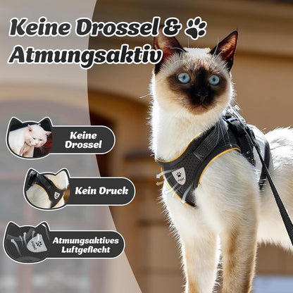 Katzengeschirr ausbruchsicher mit Leine, Größe S, Schwarz