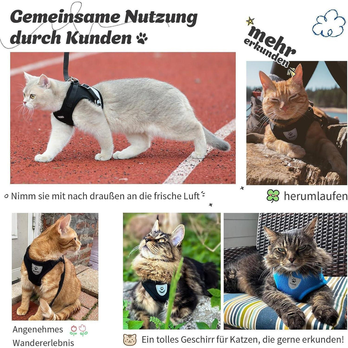 Katzengeschirr ausbruchsicher mit Leine, Größe S, Schwarz