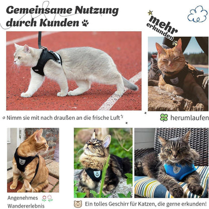 Katzengeschirr ausbruchsicher mit Leine, Größe S, Schwarz