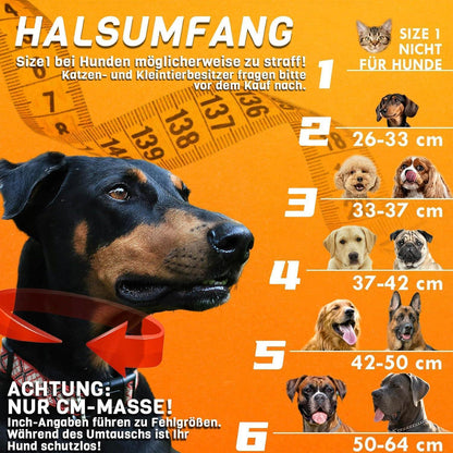 Aufblasbare Hundehalskrause 2in1 – Leckschutz & Komfort [Größe 1]