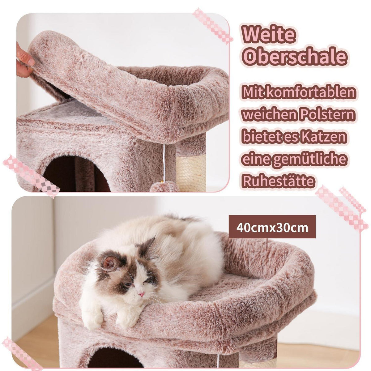 Kratzbaum Katze 75cm mit Höhle, Hängematte & Kletterleiter