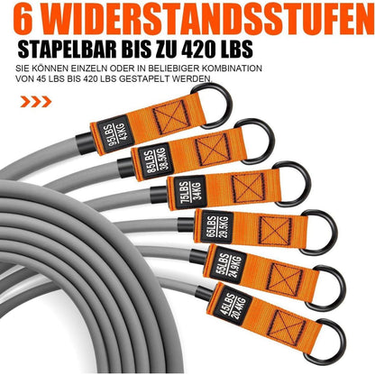 Widerstandsbänder Set mit Griffen & Zubehör, bis 190kg