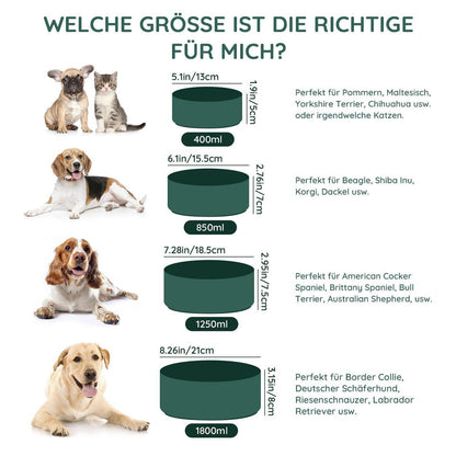 Keramik Hundenapf 1250ml Grün – Stabil & Leicht zu Reinigen