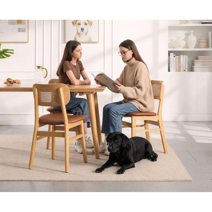 Esszimmerstühle Set 4er – & Rattan Braun in Lederoptik