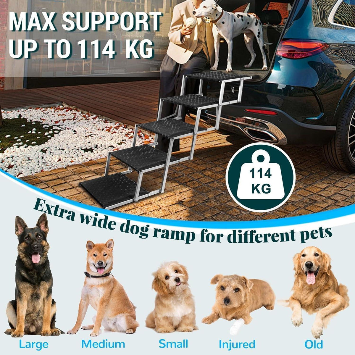 Hundetreppe Klappbar – Gelenkschonende Einstiegshilfe Auto SUV