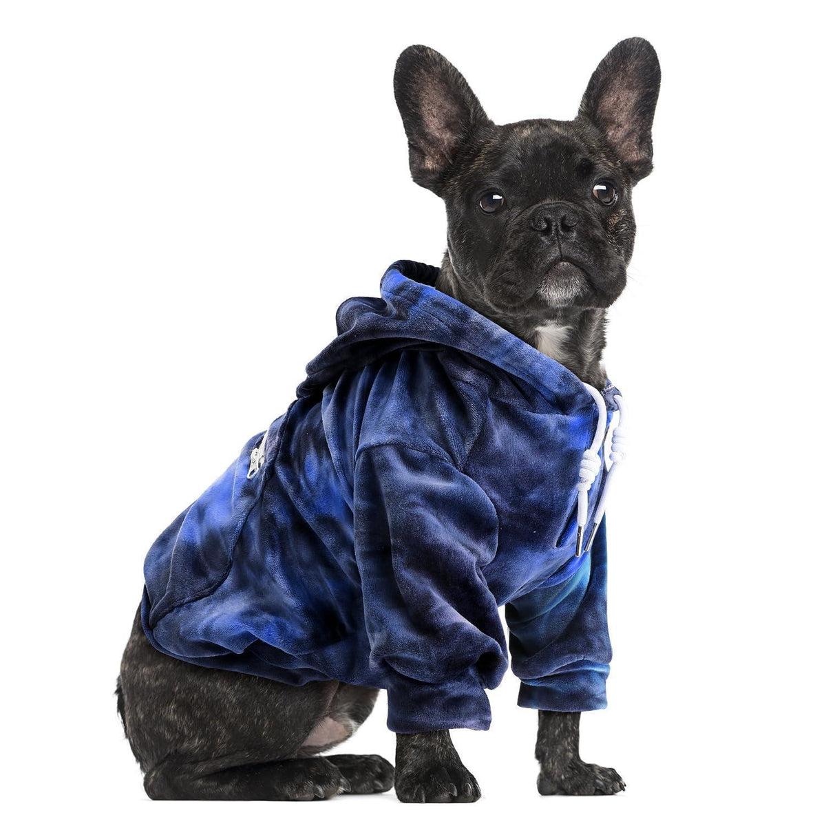 Warmer Hunde Hoodie Flanell mit Leinenloch & Tasche, Orange-Blau Medium