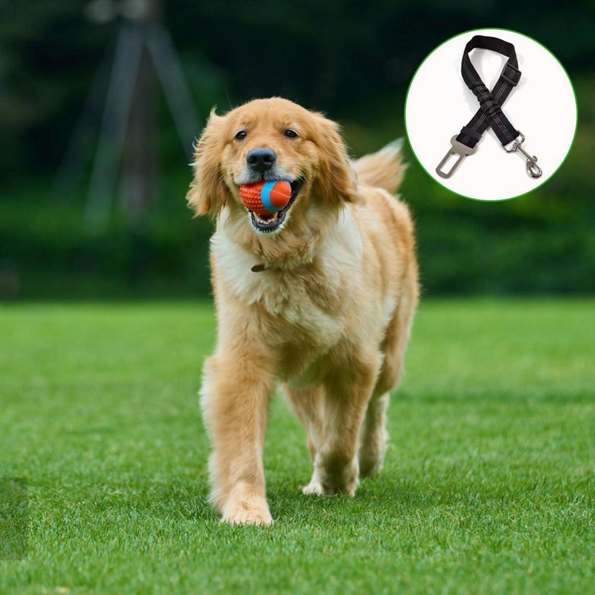 2x Auto Sicherheitsgurt für Hunde & Katzen – Verstellbar & Sicher