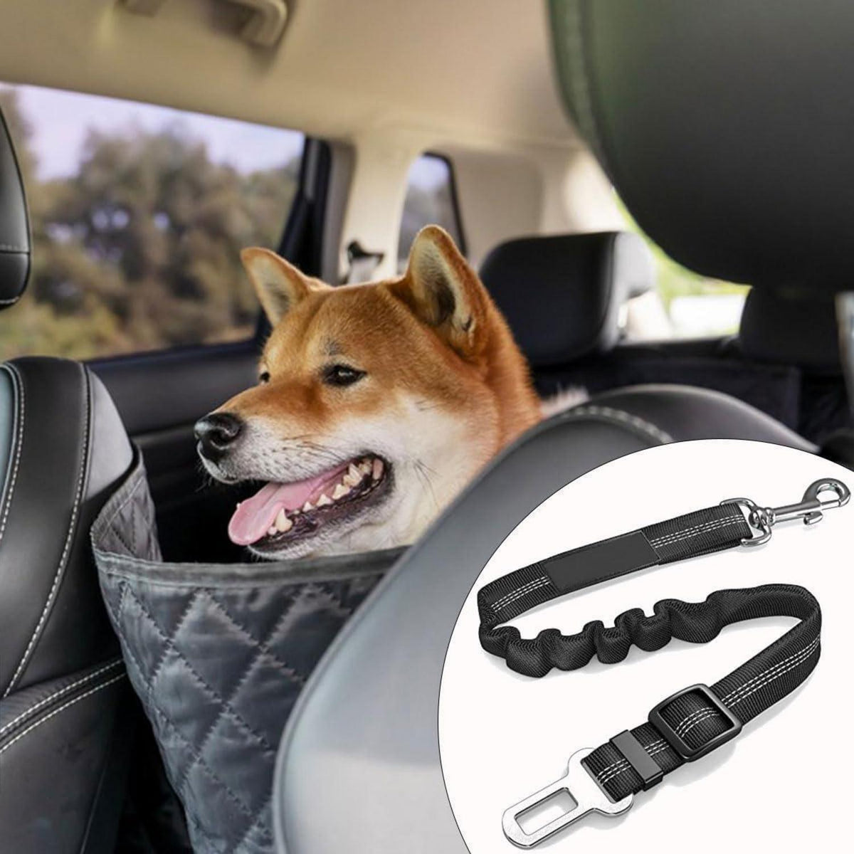 2x Auto Sicherheitsgurt für Hunde & Katzen – Verstellbar & Sicher