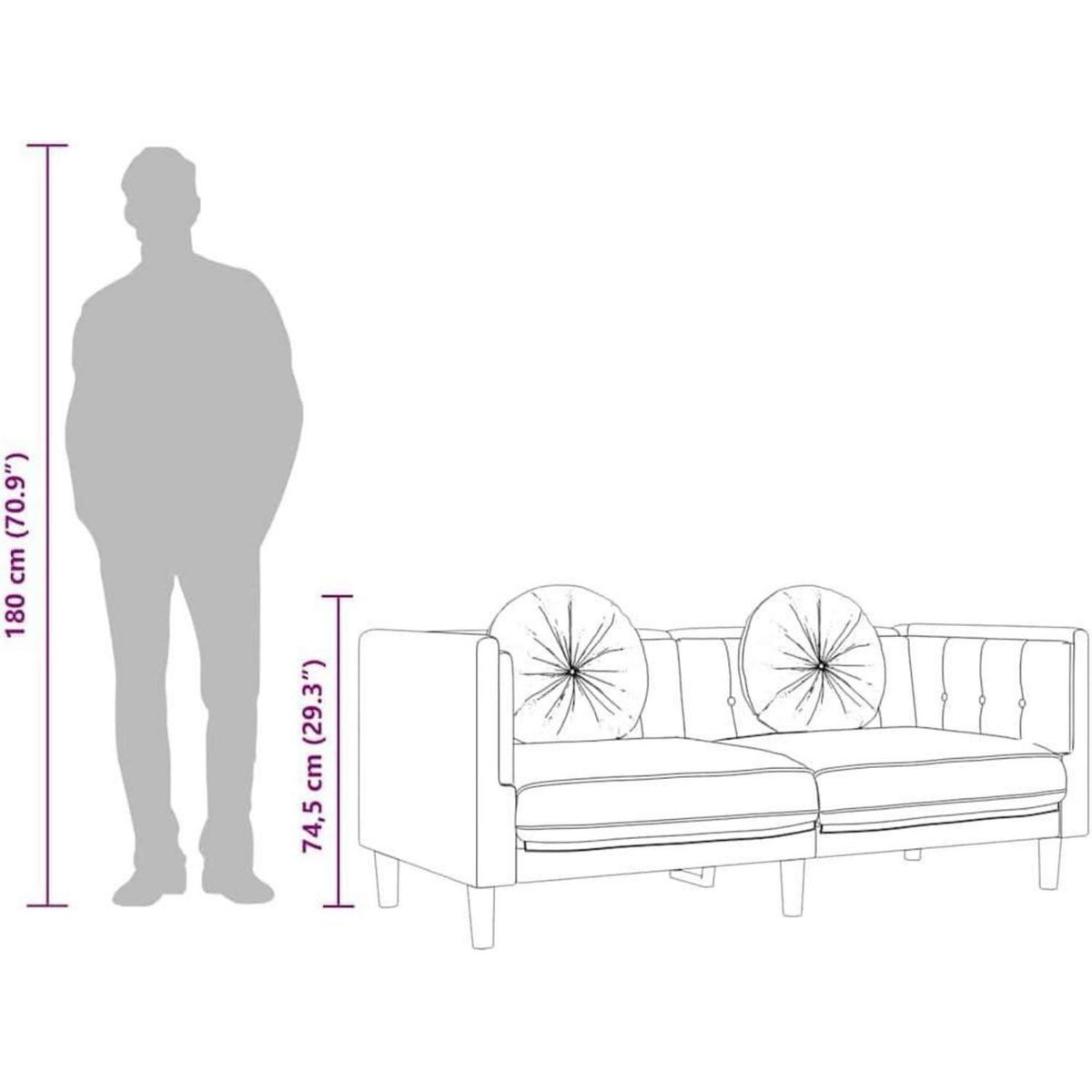Modernes 2-Sitzer Sofa Dunkelgrau mit Kissen