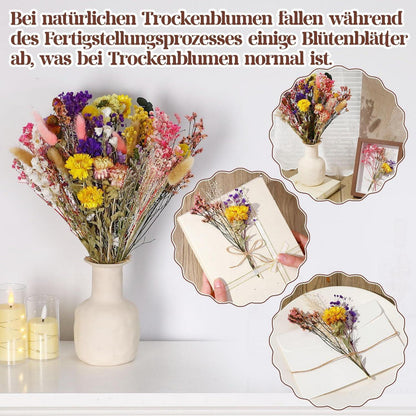 46-tlg. Trockenblumenstrauß Deko Set – 15 Sorten | Natur & Wohnstil