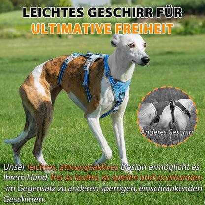 Sicherheitsgeschirr Hund Ausbruchsicher & Reflektierend – Größe M, Meeresblau