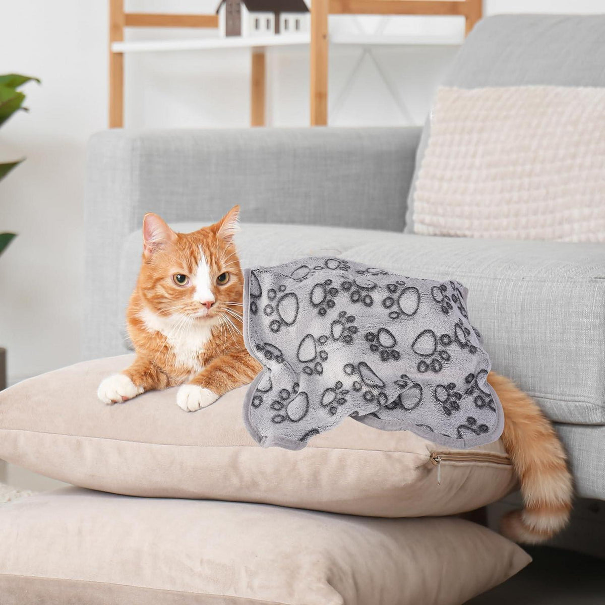 3x Kuscheldecke für Hunde & Katzen – 60x40cm, Pfotenmuster