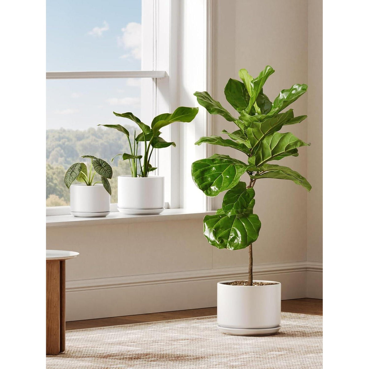 Keramik Blumentopf 25cm mit Untersetzer & Drainageloch, Weiß