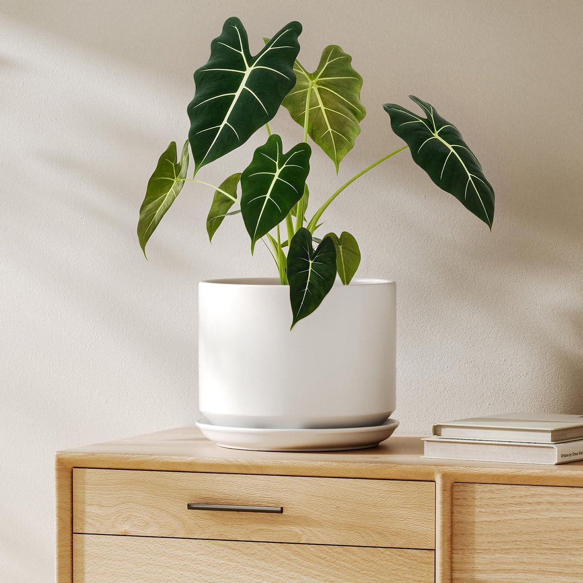 Keramik Pflanztopf 20cm mit Untersetzer – Weiß