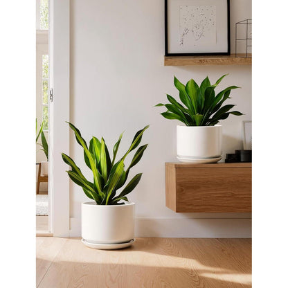 Keramik Pflanztopf 20cm mit Untersetzer – Weiß