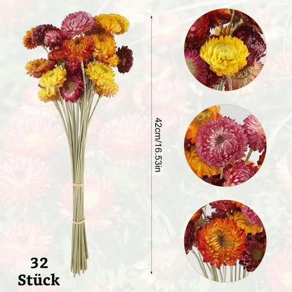 32 Trockenblumen Strauß | Natürliche Strohblumen Deko