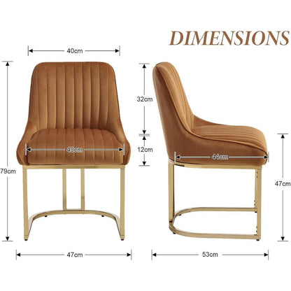 Esszimmerstühle 2er Set Samt, Modern & Elegant Braun