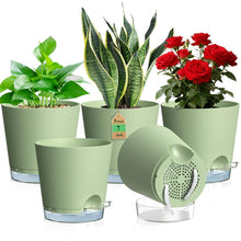 Selbstbewässerungstöpfe 5er Set mit Wasseranzeige