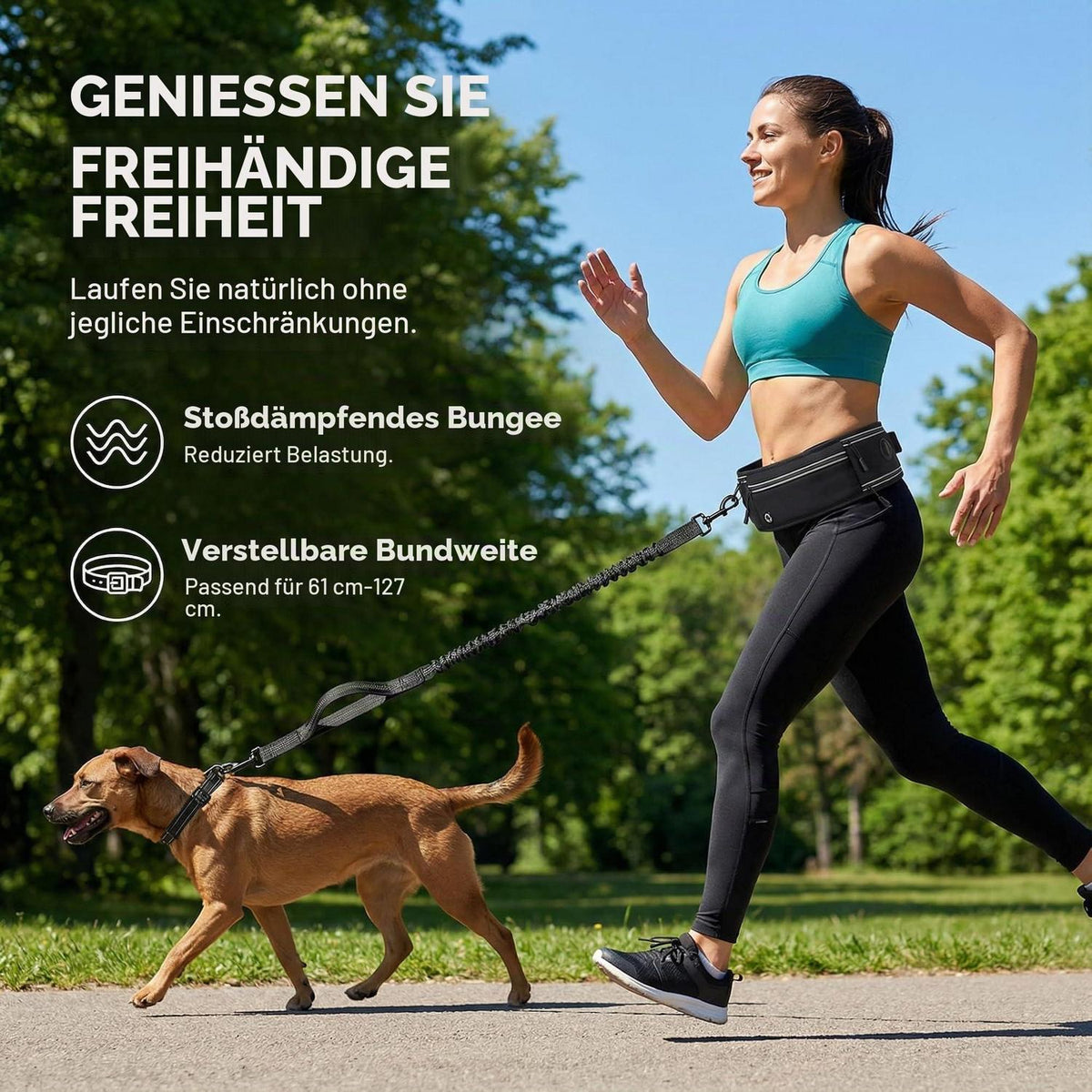 Freihand Hundeleine mit Taillenbeutel & Kotbeutelspender