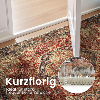 Fußmatte Braun/Mehrfarbig 60x90cm – Kinder & Tierfreundlich