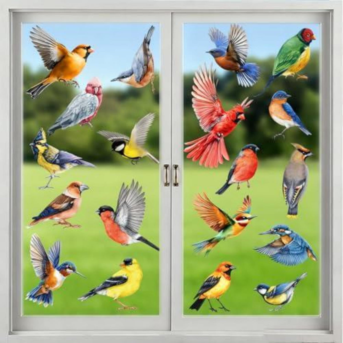Vogelaufkleber Fenster – Vogelschutz & Naturdeko