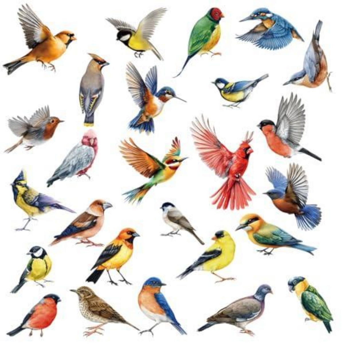 Vogelaufkleber Fenster – Vogelschutz & Naturdeko