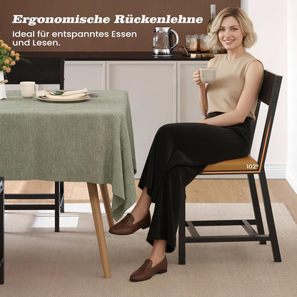 Esszimmerstühle 2er Set Vintage Braun, Metallgestell & Polsterung