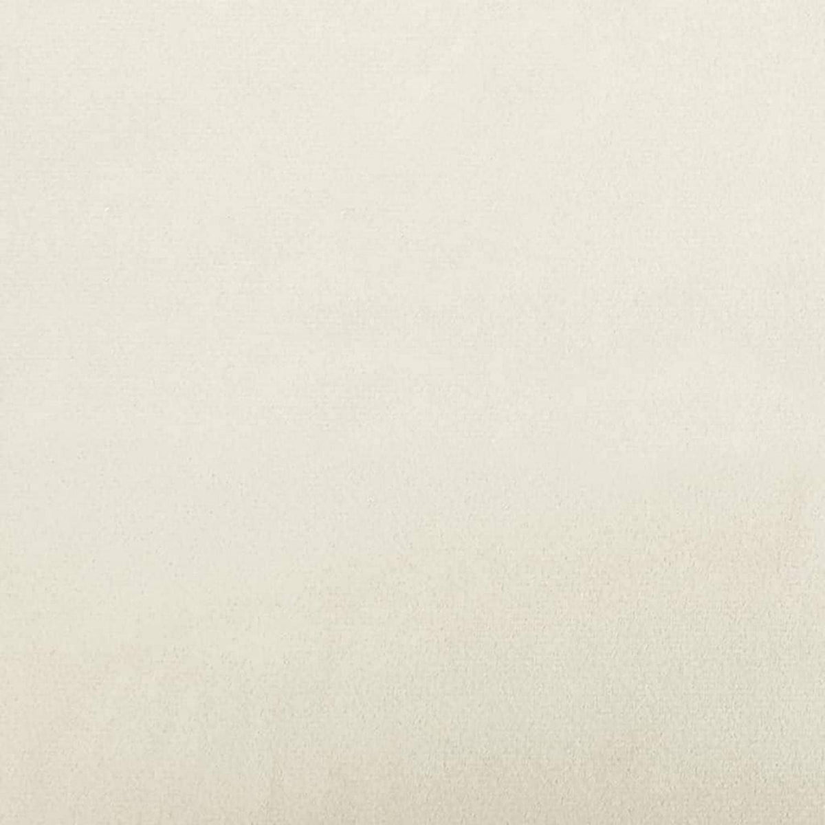 2-Sitzer Sofa Creme – Samt Couch mit Kissen & Armlehnen