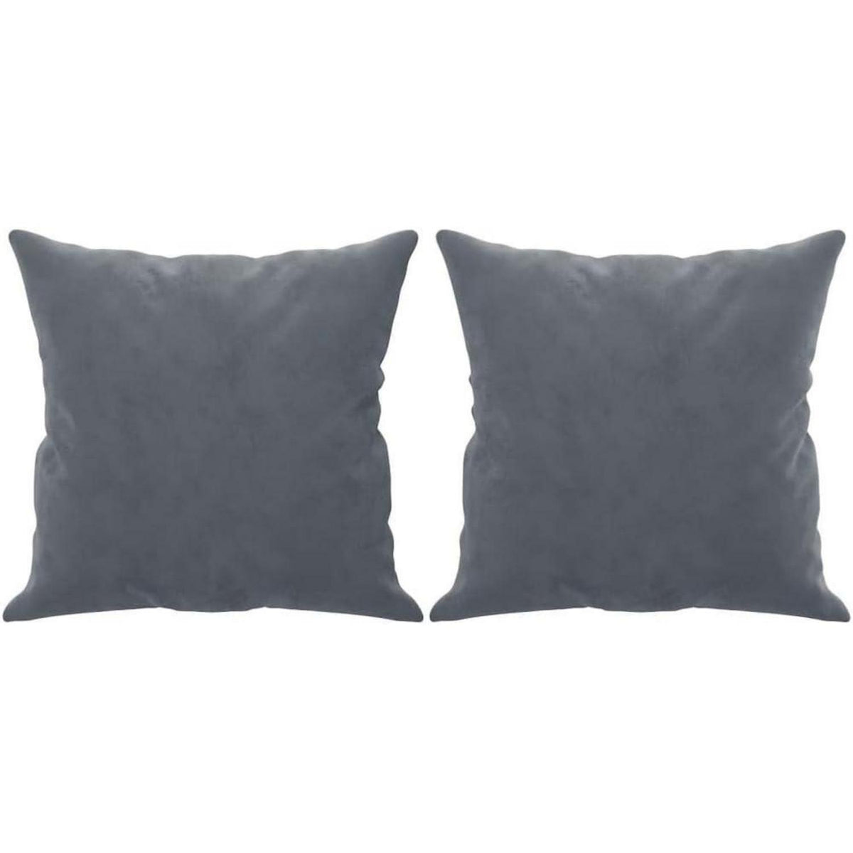2-Sitzer Sofa Samt Dunkelgrau – Modernes Mini Sofa mit Kissen