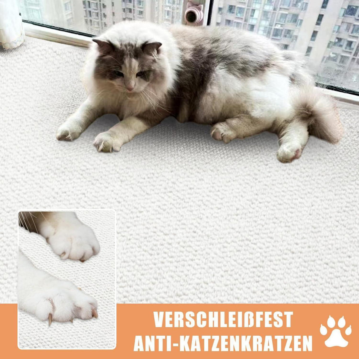 Halbrund Fußmatte 70x100 – Rutschfest & Waschbar für Innen & Außen