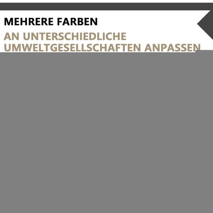 Konferenztisch F200 – Modern, Kabeldurchführung, Büro & Meeting