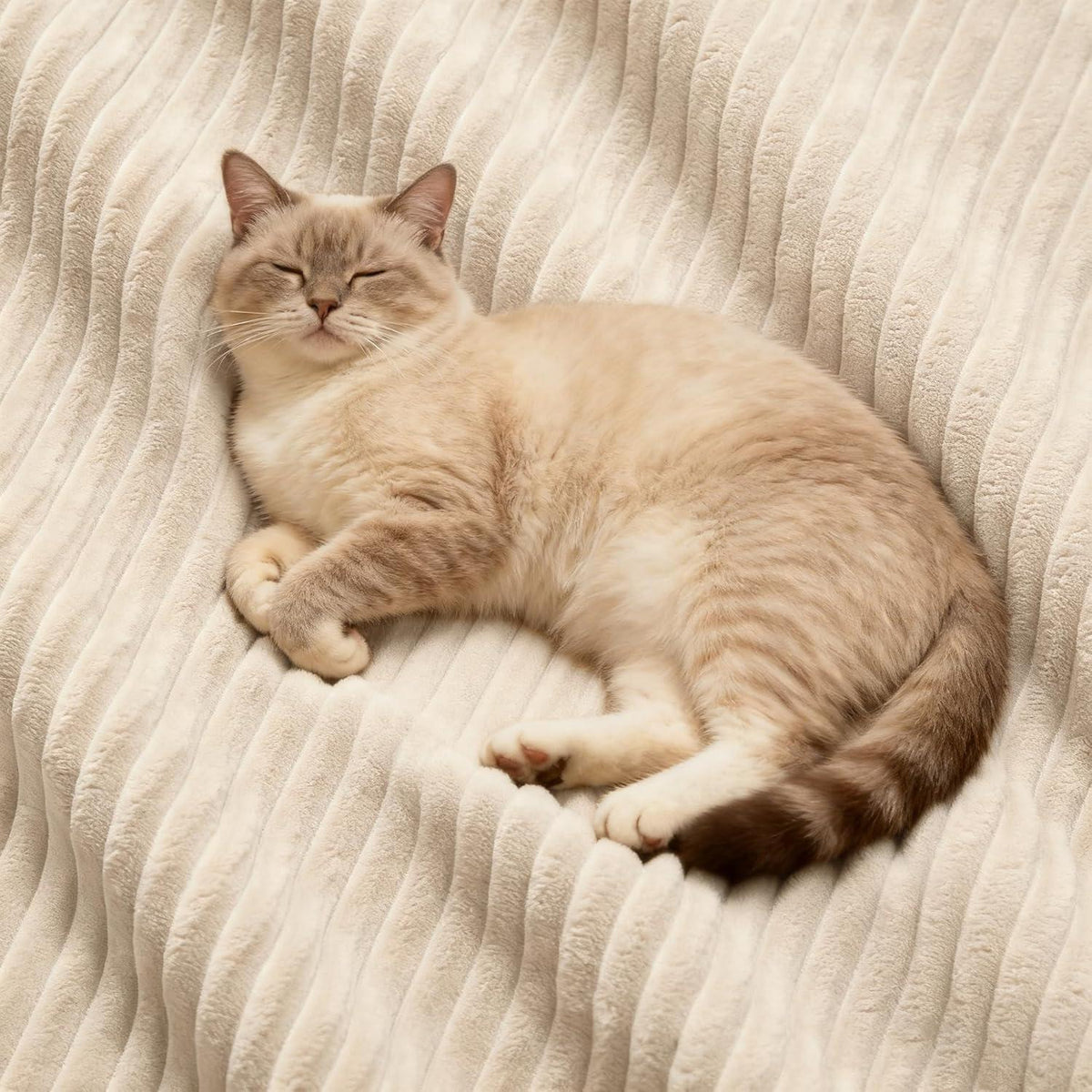 Modulares Ecksofa mit Cordbezug – Beige, Kein Aufbau nötig