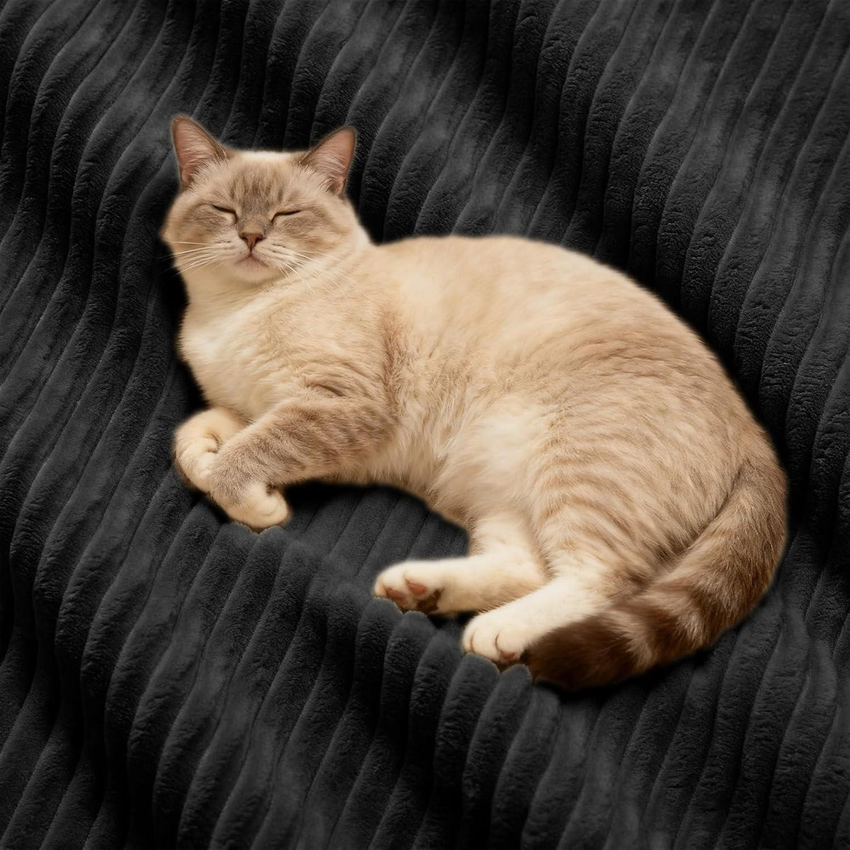 Modulares Ecksofa mit Cord – Tiefes Sitzsofa Schwarz 2C2S