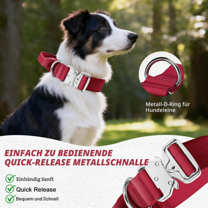 Taktisches Hundehalsband Rot M – Breites, Gepolstertes Training Halsband