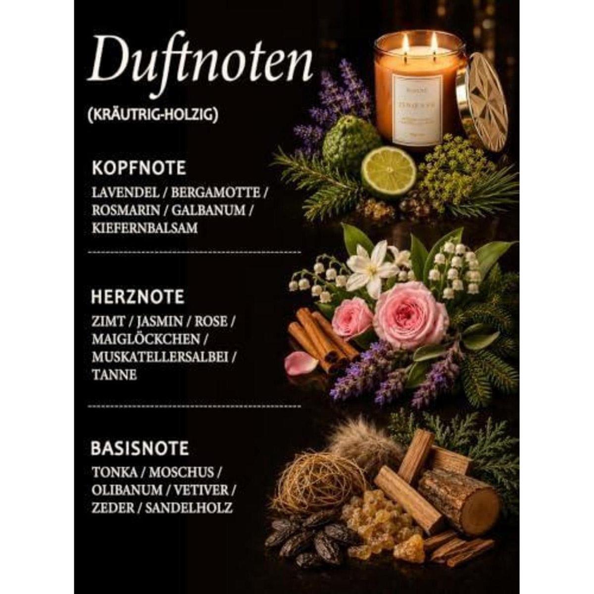 Duftkerze Zeder & Tanne - Premium Glas, 70h Brenndauer