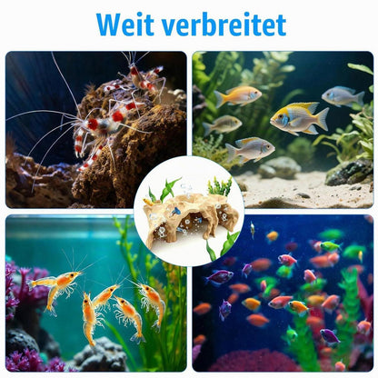 Aquarium Tunnel Versteck für Fische & Garnelen (M)